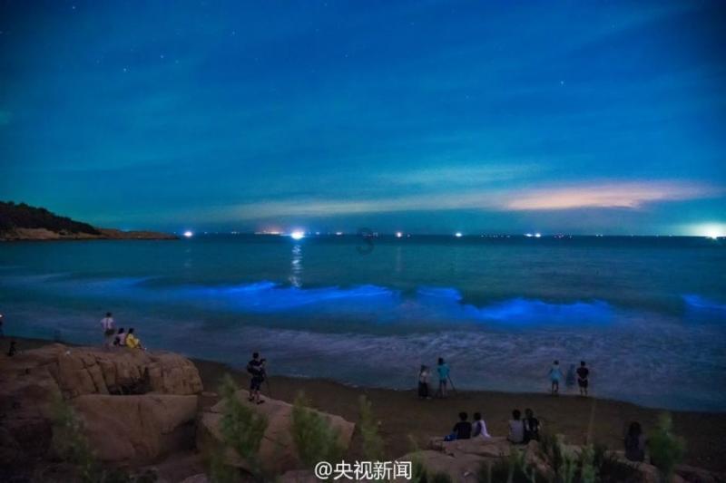童话世界找不同