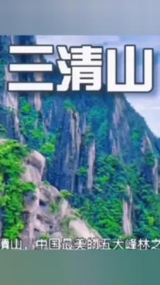 饥饿的哈利