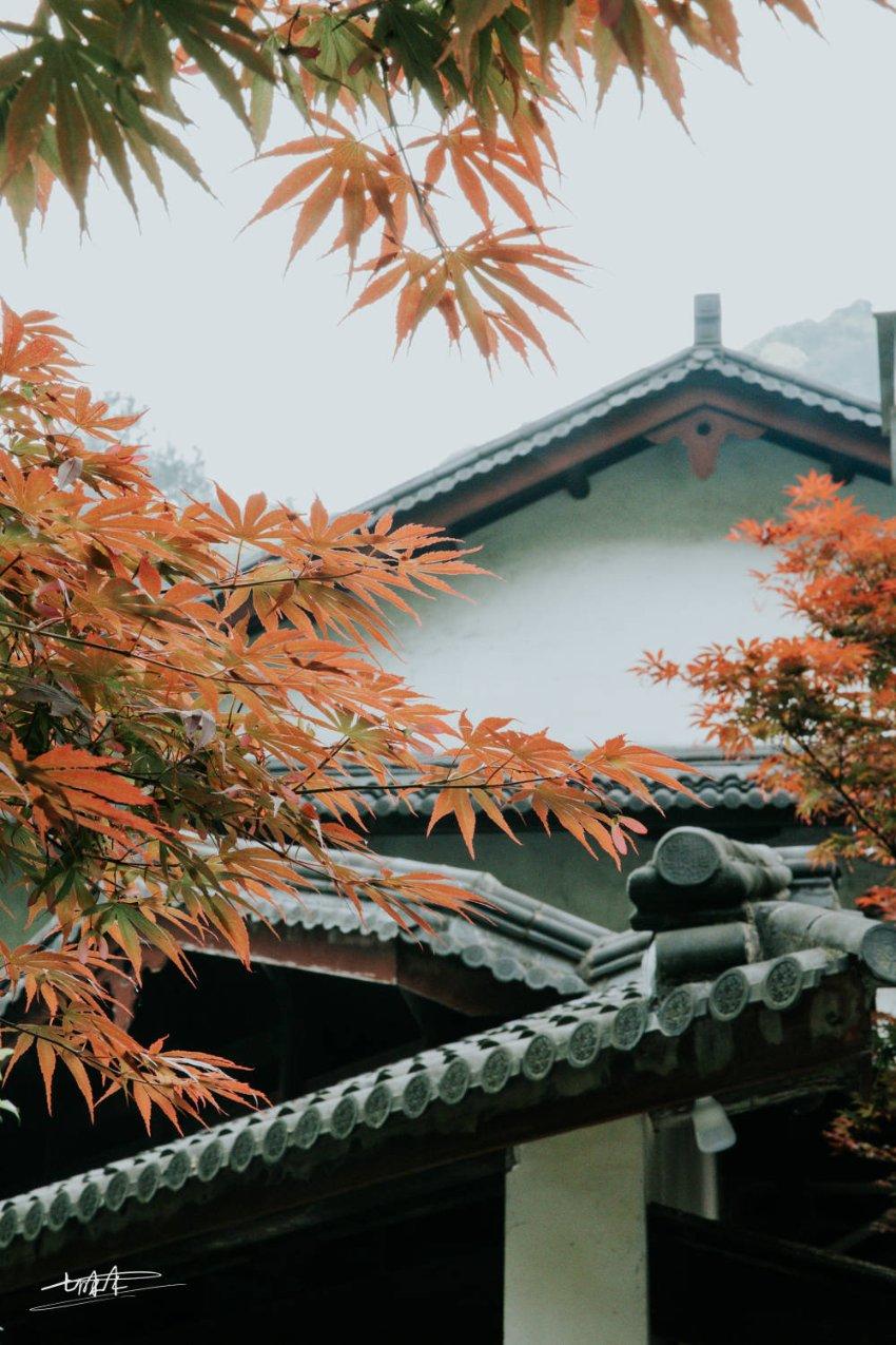 弹弹堂大冒险
