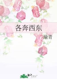 航空公司也要造车？吉祥航空AIR电动轿车抢先看