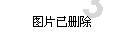 哥特舰队