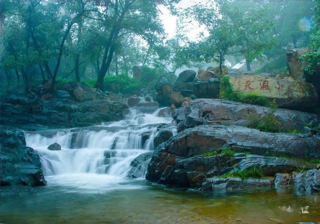 秋季炖鸡汤放什么食材游戏画面
