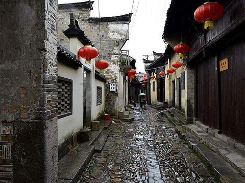 为什么萤火虫会发光？游戏画面